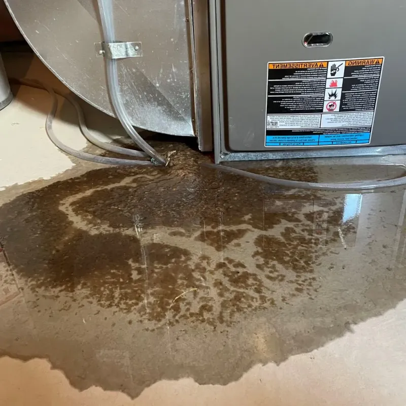 Pipe Burst and Leak Restoration in Rhea County, TN