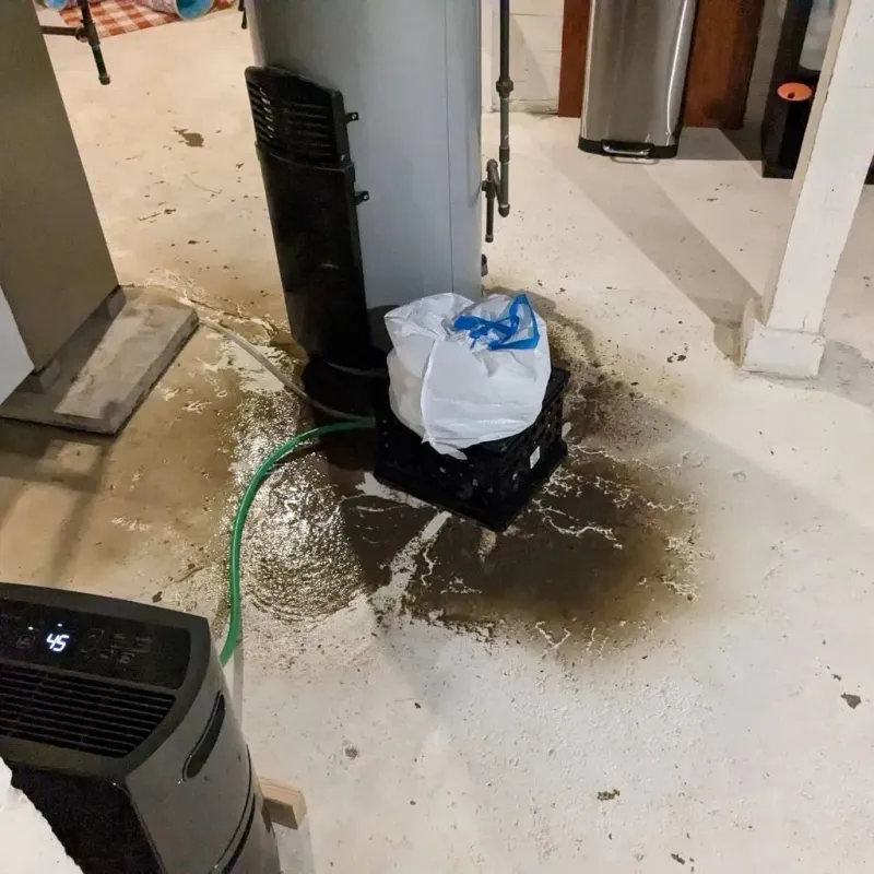 Sewage Backup Cleanup Service in Rhea County, TN